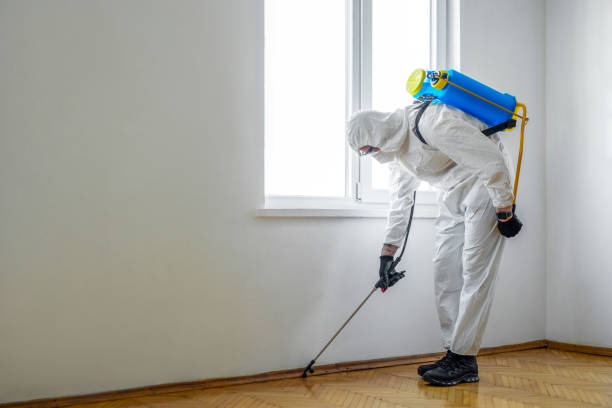 Best Pest Removal Services  in USA